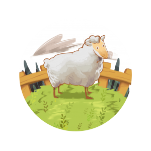Grand (poids: 42-48 KG)